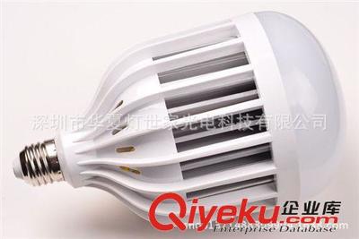 厂家批发220V 24W LED塑料球泡灯 - 深圳市华夏灯世家光电科技